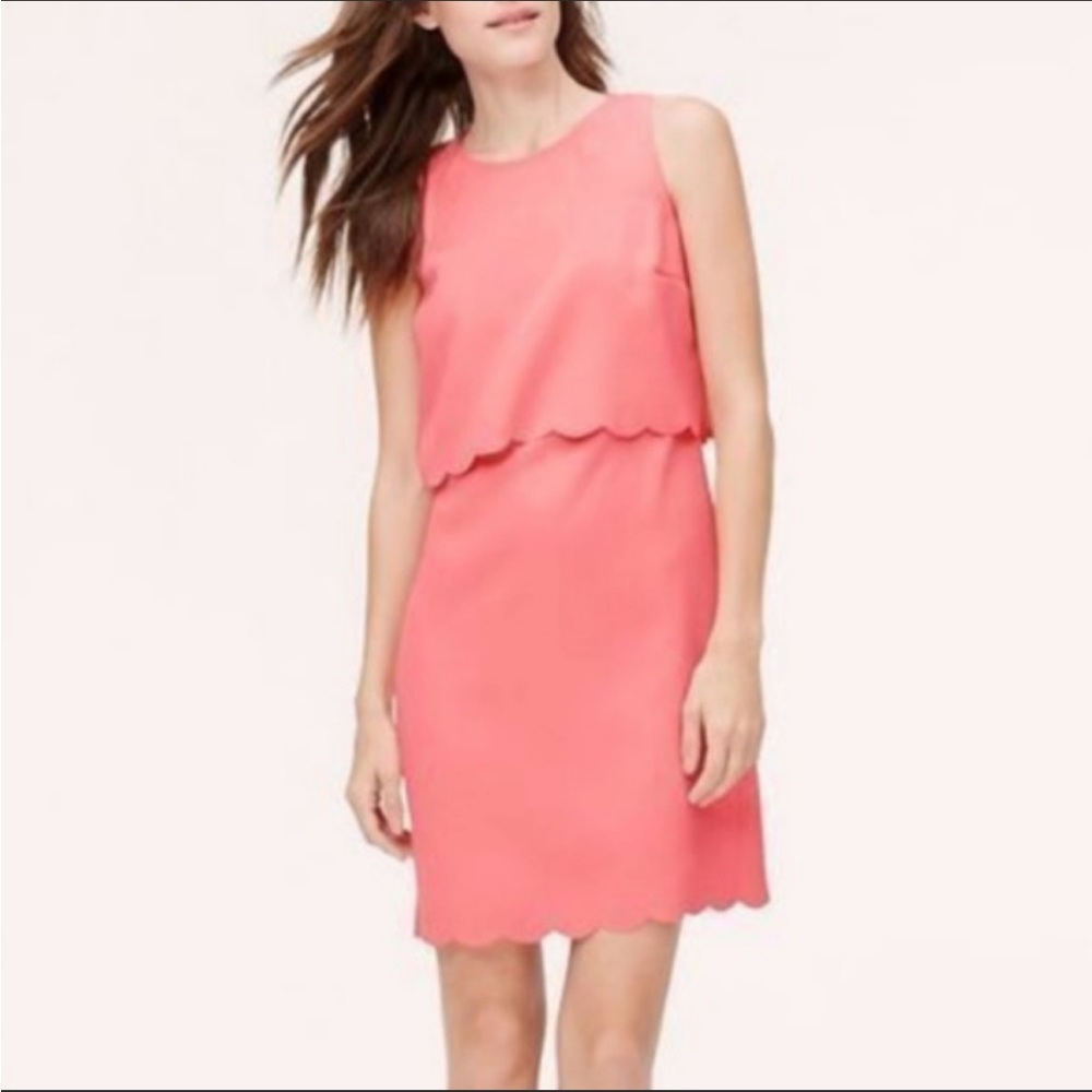 Loft Pink Dress